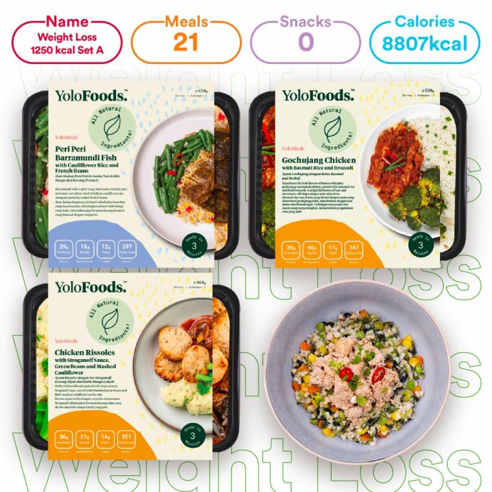 Weight Loss 1250 kcal (3 meals) Set A-NO BEEF